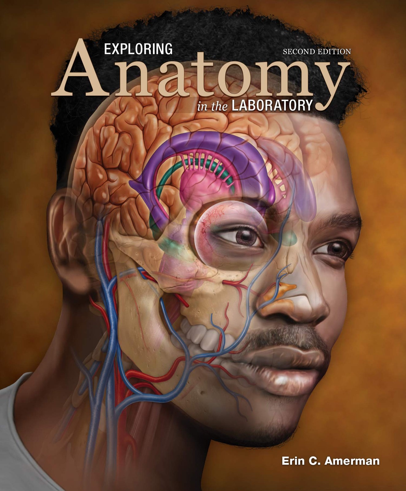 Exploring Anatomy in the Laboratory by Erin C. Amerman