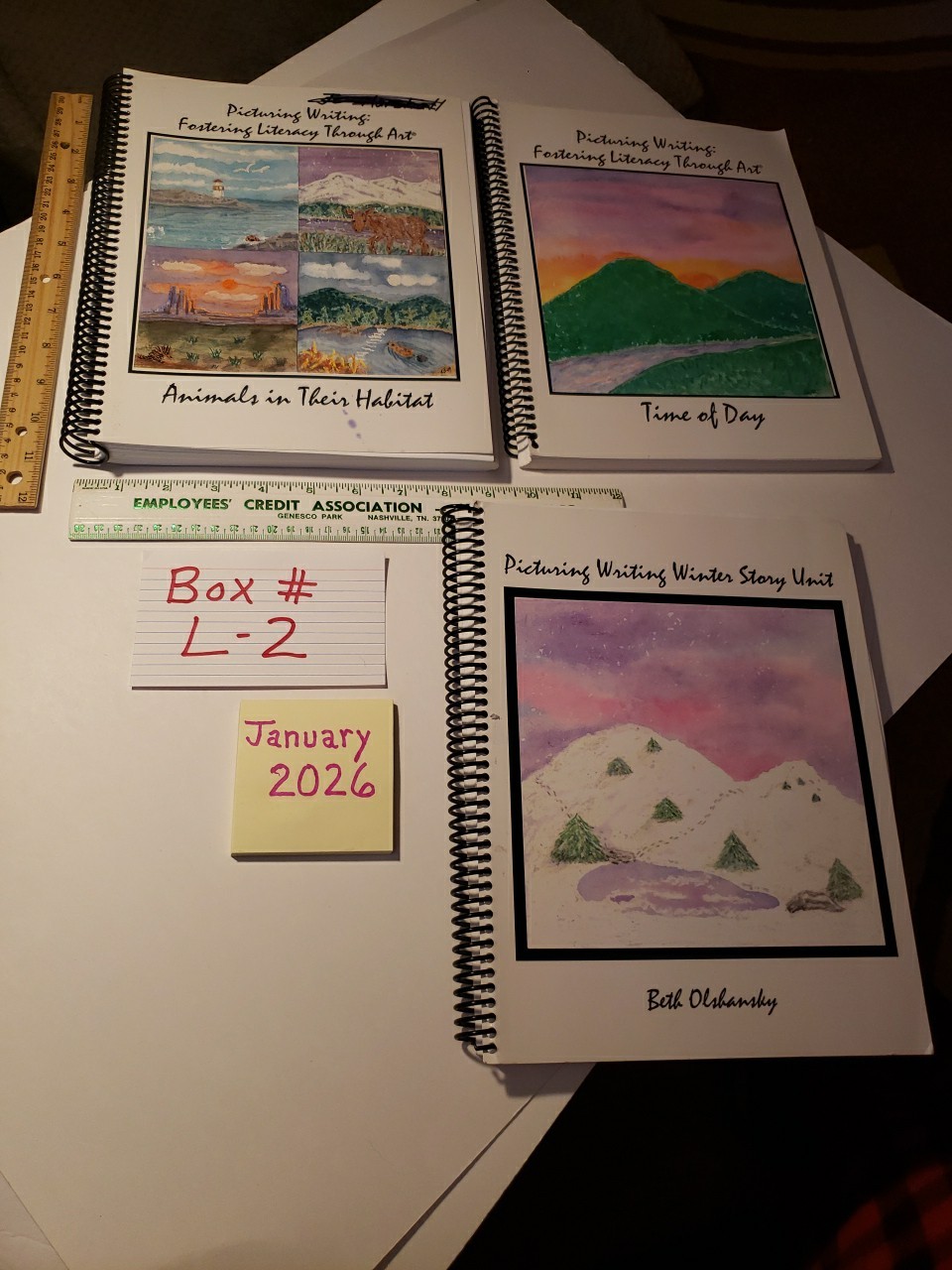 Picturing Writing Lot Of 3 PB Books By Beth Olshansky Art Based Literacy RARE