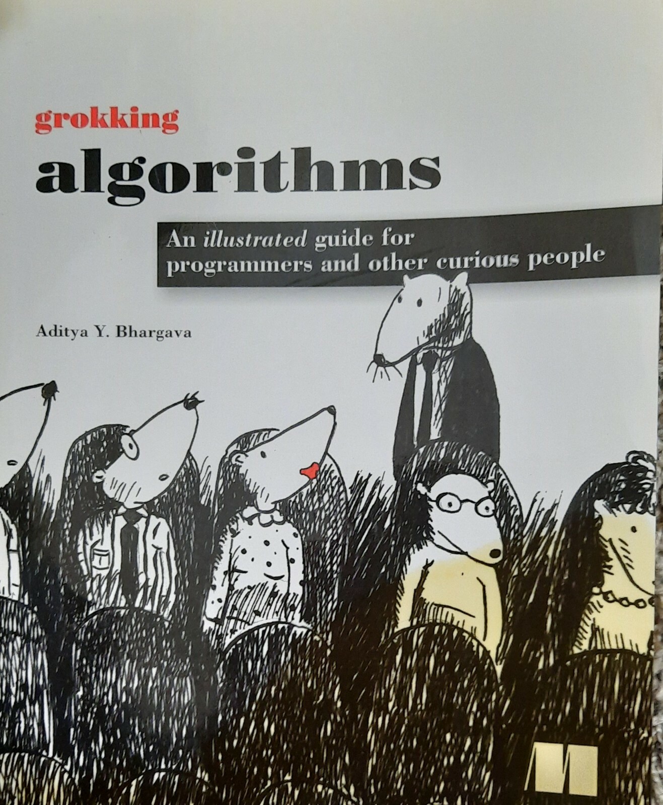 Grokking Algorithms: An Illustrated Guide for Programmers and Other Curious …