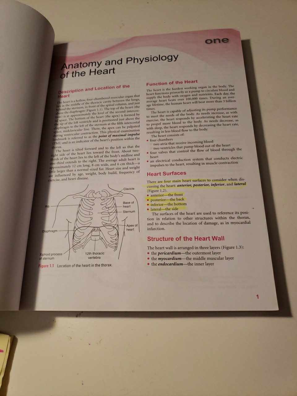 ECG Workout : Exercises in Arrhythmia Interpretation by Jane Huff PB SOLD AS IS