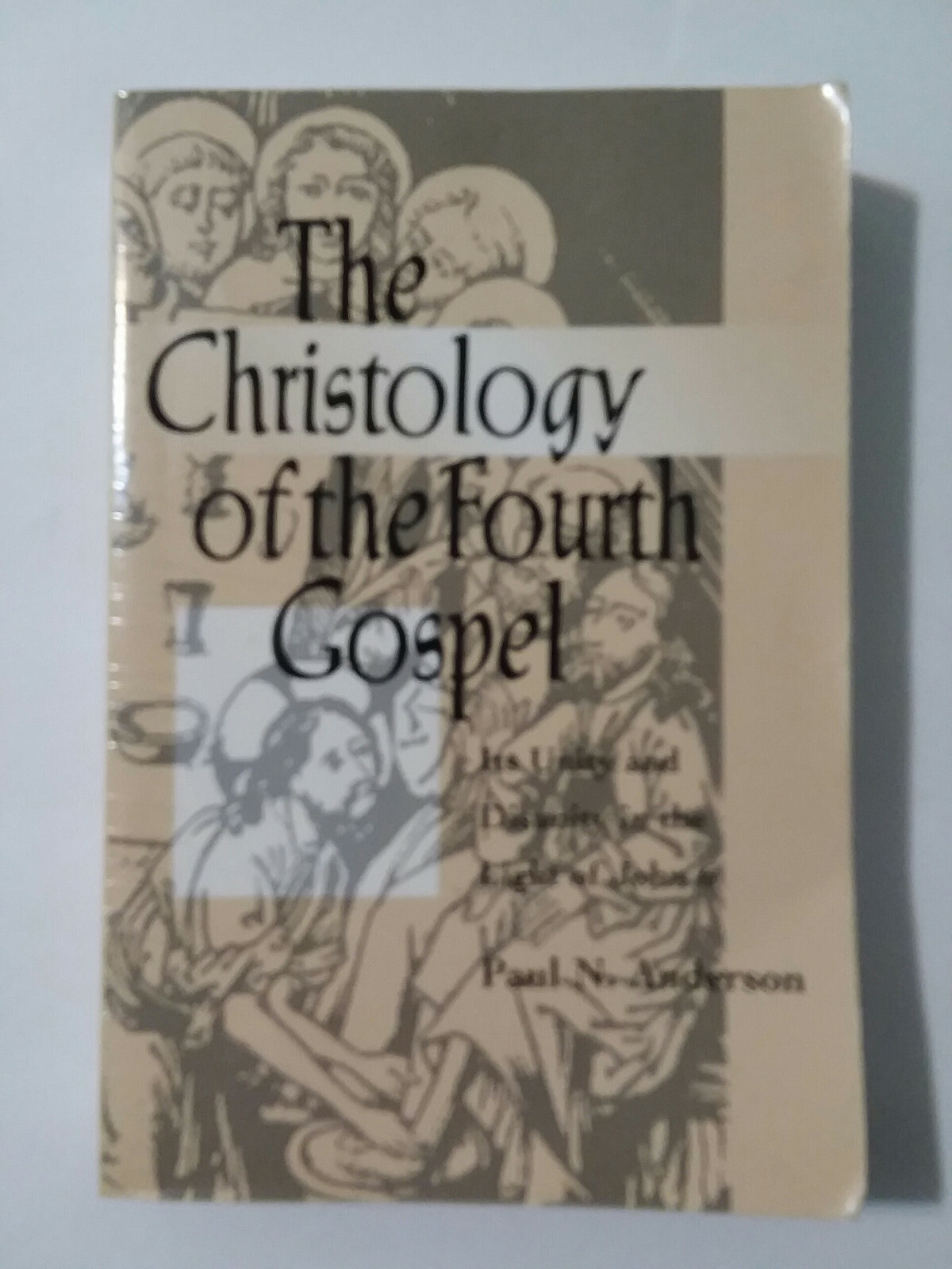 The Christology of the Fourth Gospel – Paul N. Anderson (1997 softcover) GOOD!