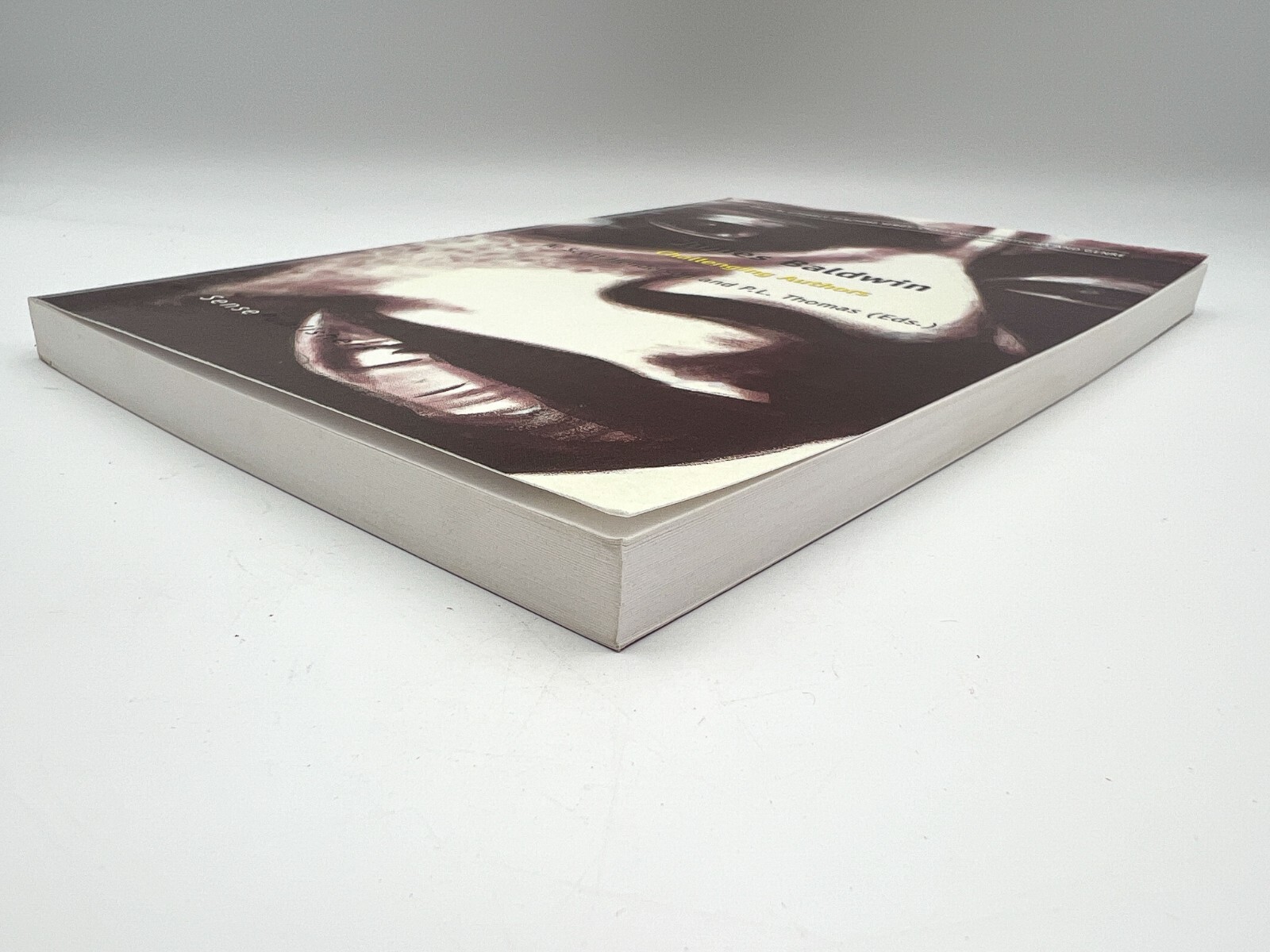 James Baldwin: Challenging Authors by A. Scott Henderson 2014 PB