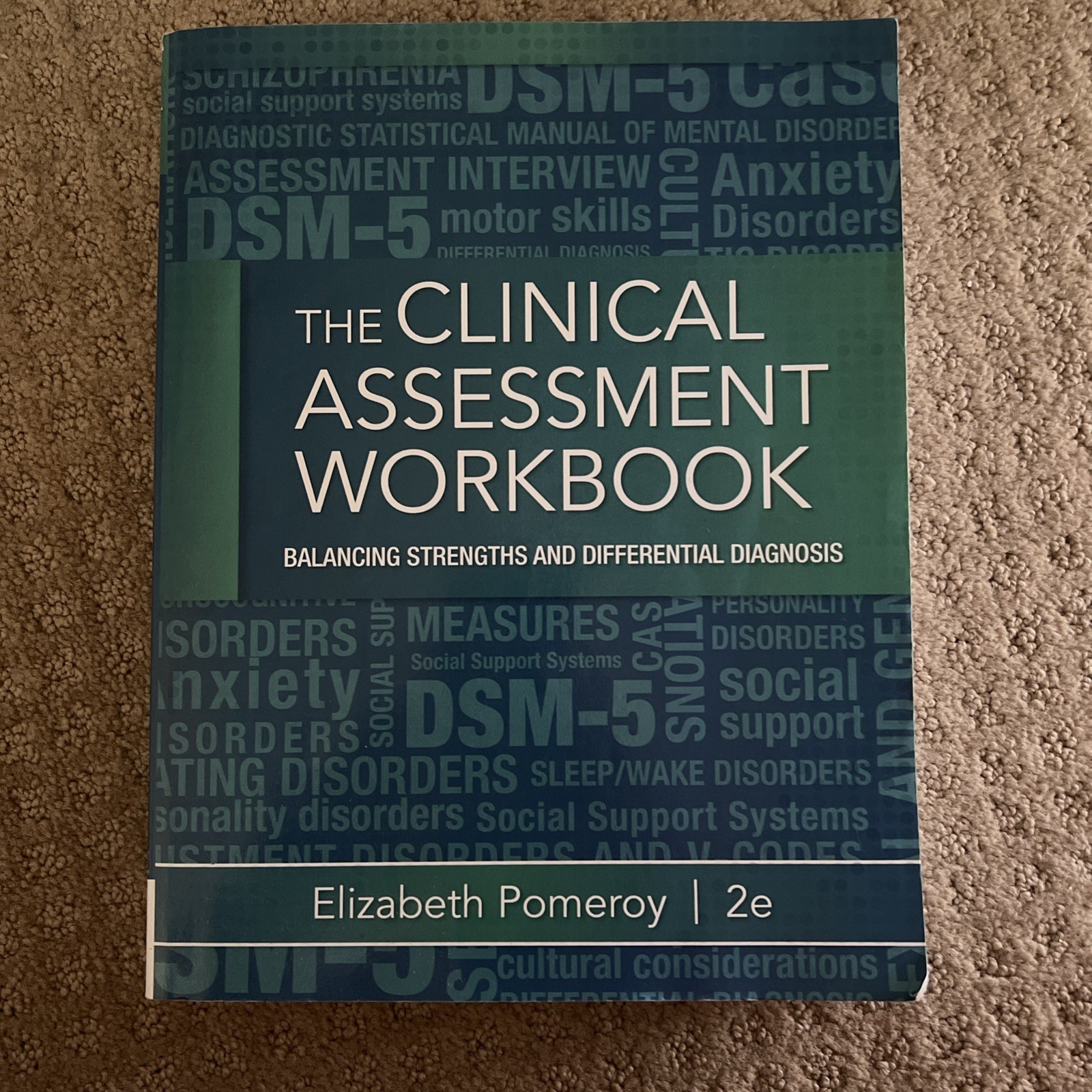 Clinical Assessment Workbook by Elizabeth Pomeroy (2014, Trade Paperback)