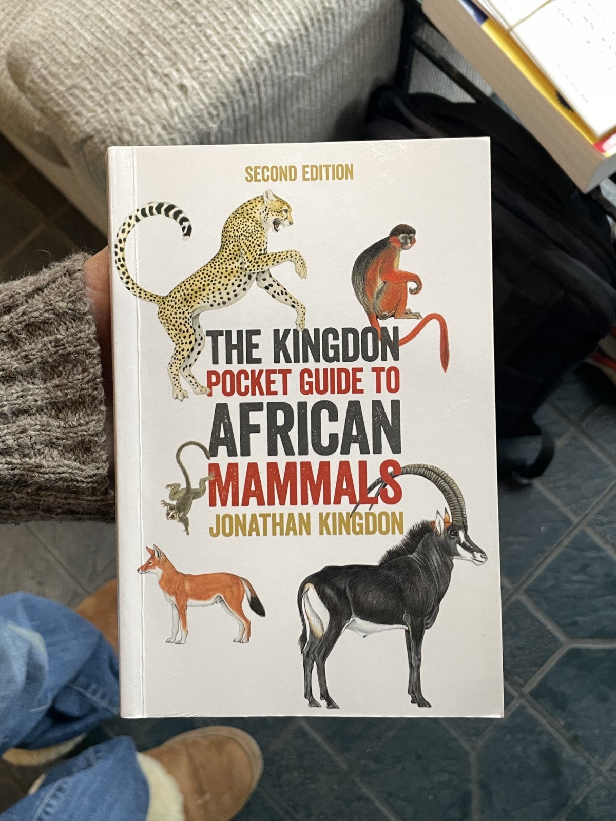 The Kingdon Pocket Guide to African Mammals / Second Ed / Princeton 2020 pb