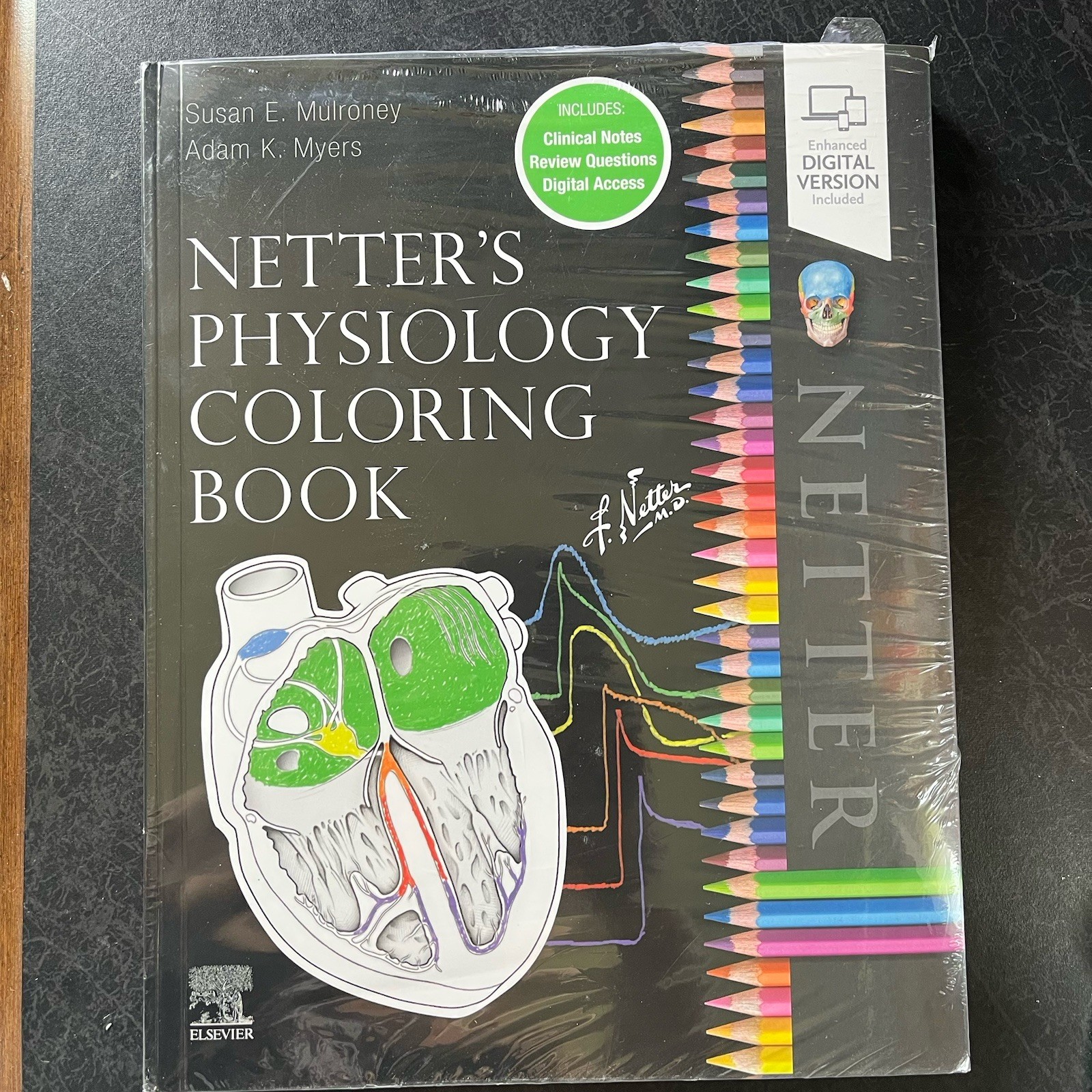 Netter’s Physiology Coloring Book New See Photos