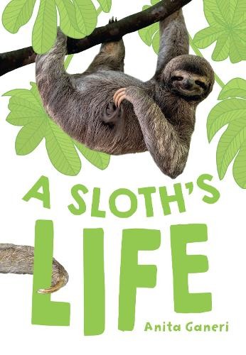 A Sloth’s Life: Fluency 7 (Big Cat for … by Ganeri, Anita Paperback / softback