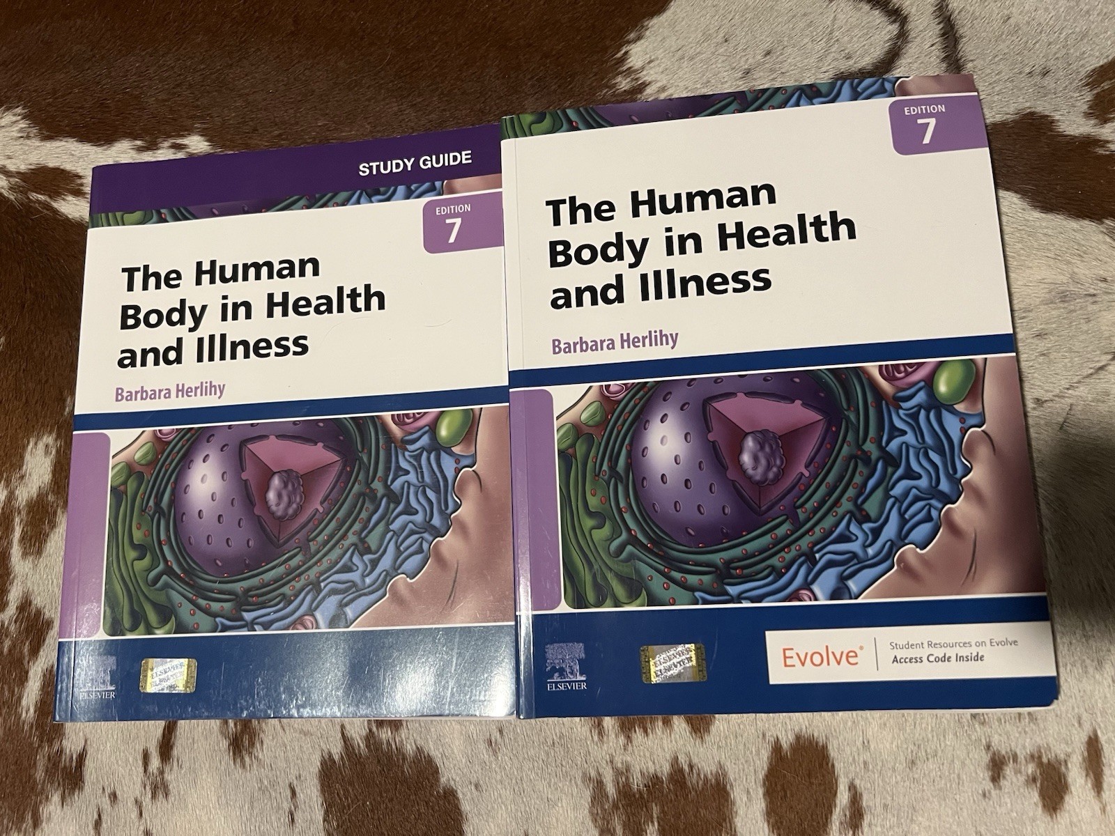 Human Body in Health and Illness by Barbara Herlihy (2021, Trade Paperback)