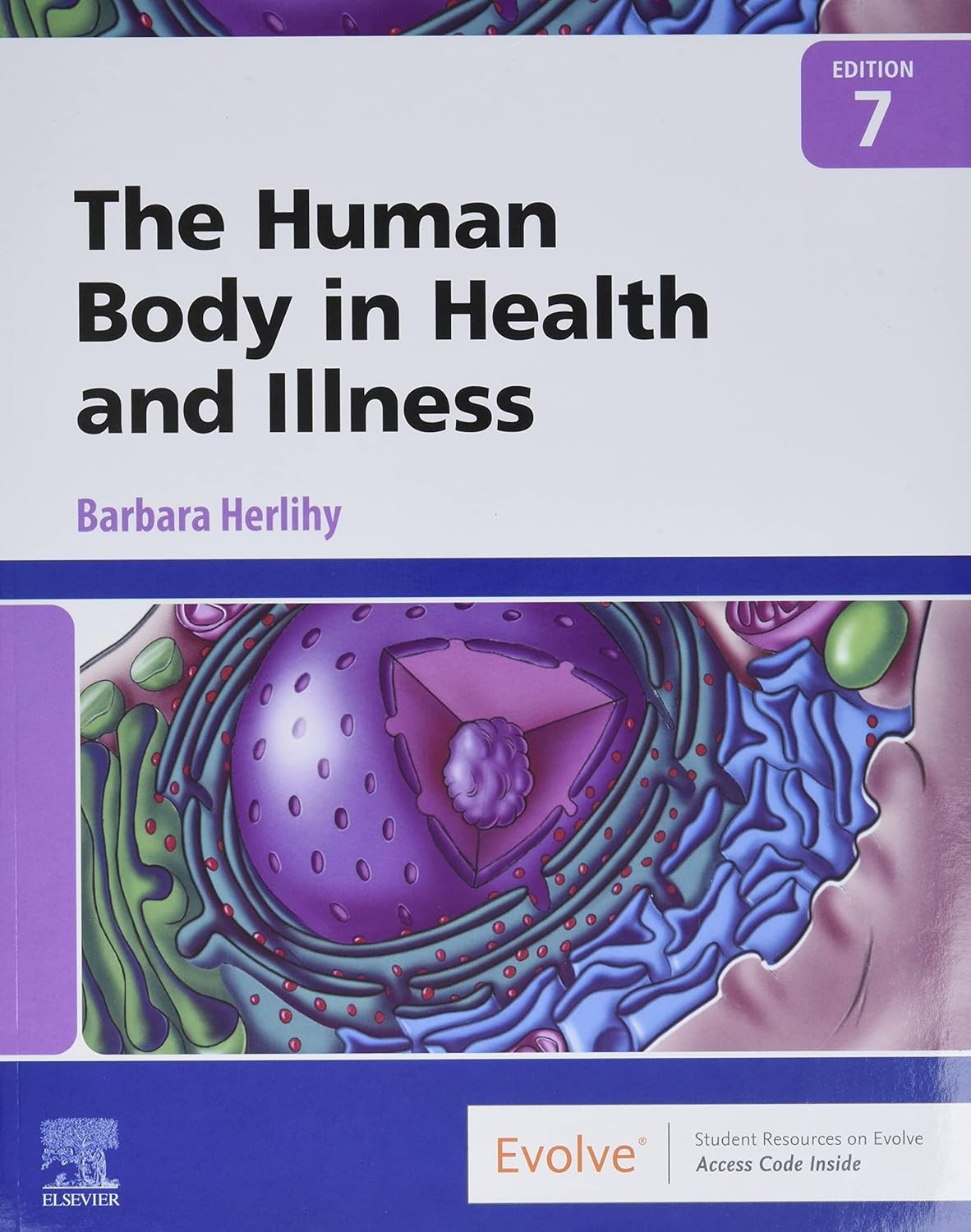 The Human Body in Health and Illness by Barbara Herlihy by Herlihy