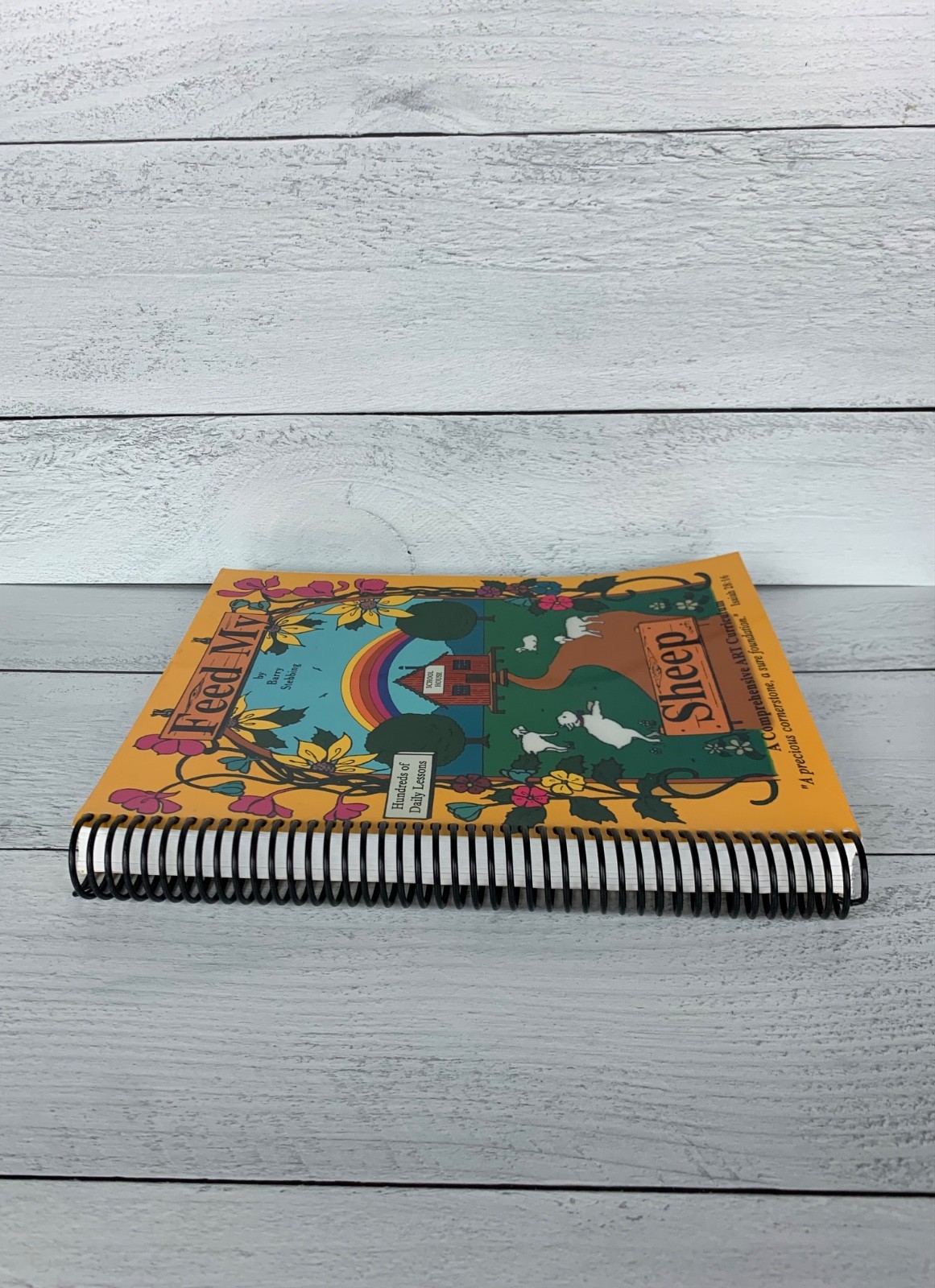 Feed My Sheep Art Curriculum Spiral bound by Barry Stebbing Book Homeschool