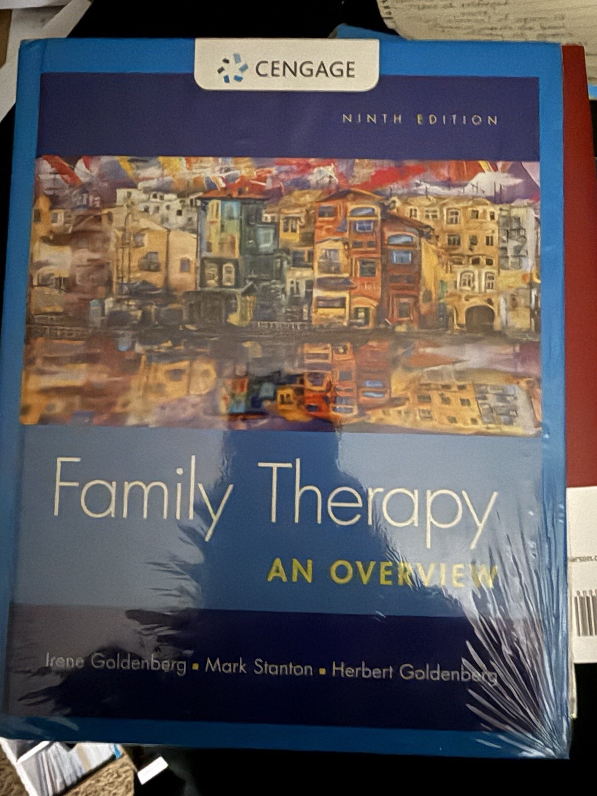 Family Therapy: An Overview 9th edition- Hardcover, Goldenberg and Stanton