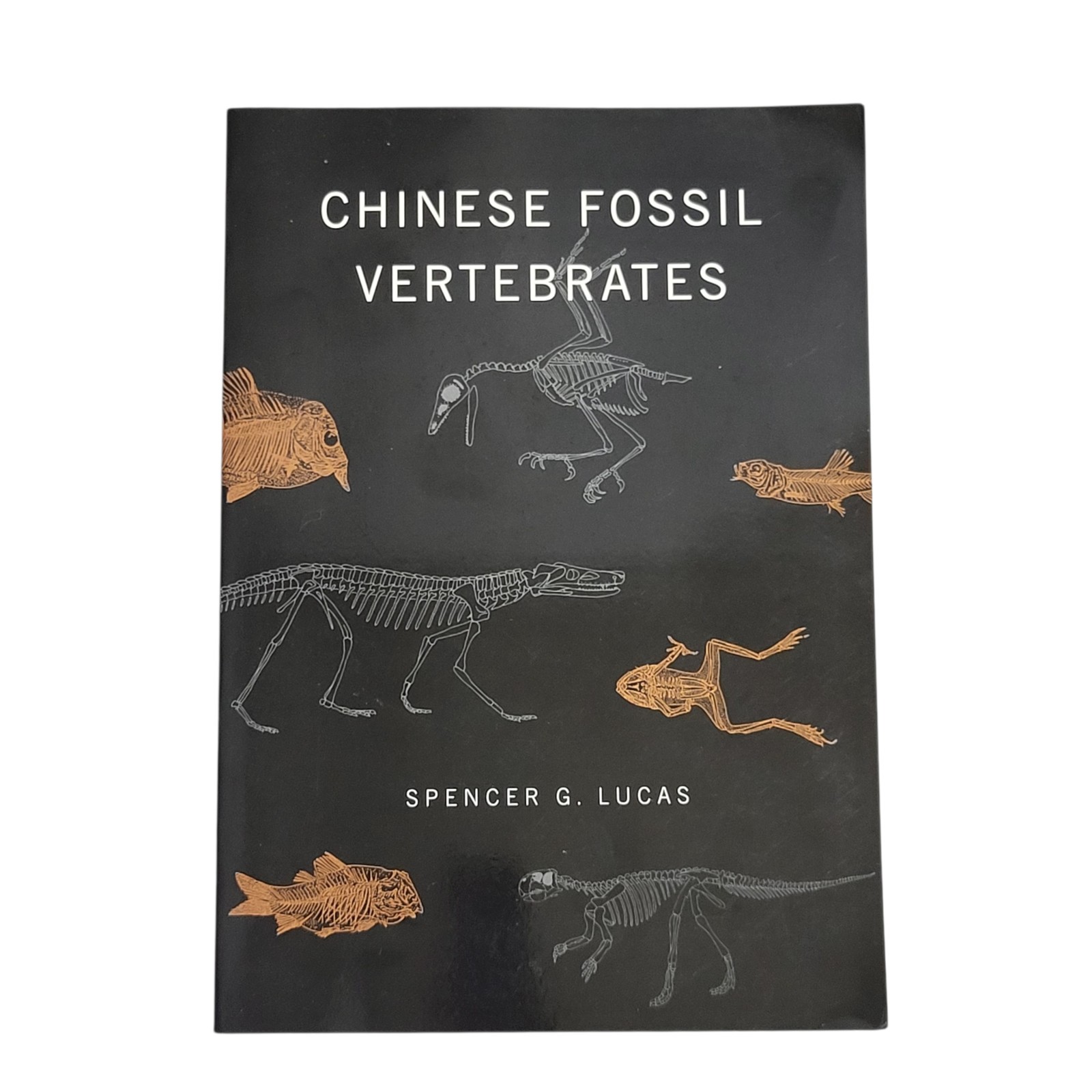 Chinese Fossil Vertebrates Spencer G. Lucas Paleontology Studies Good Condition