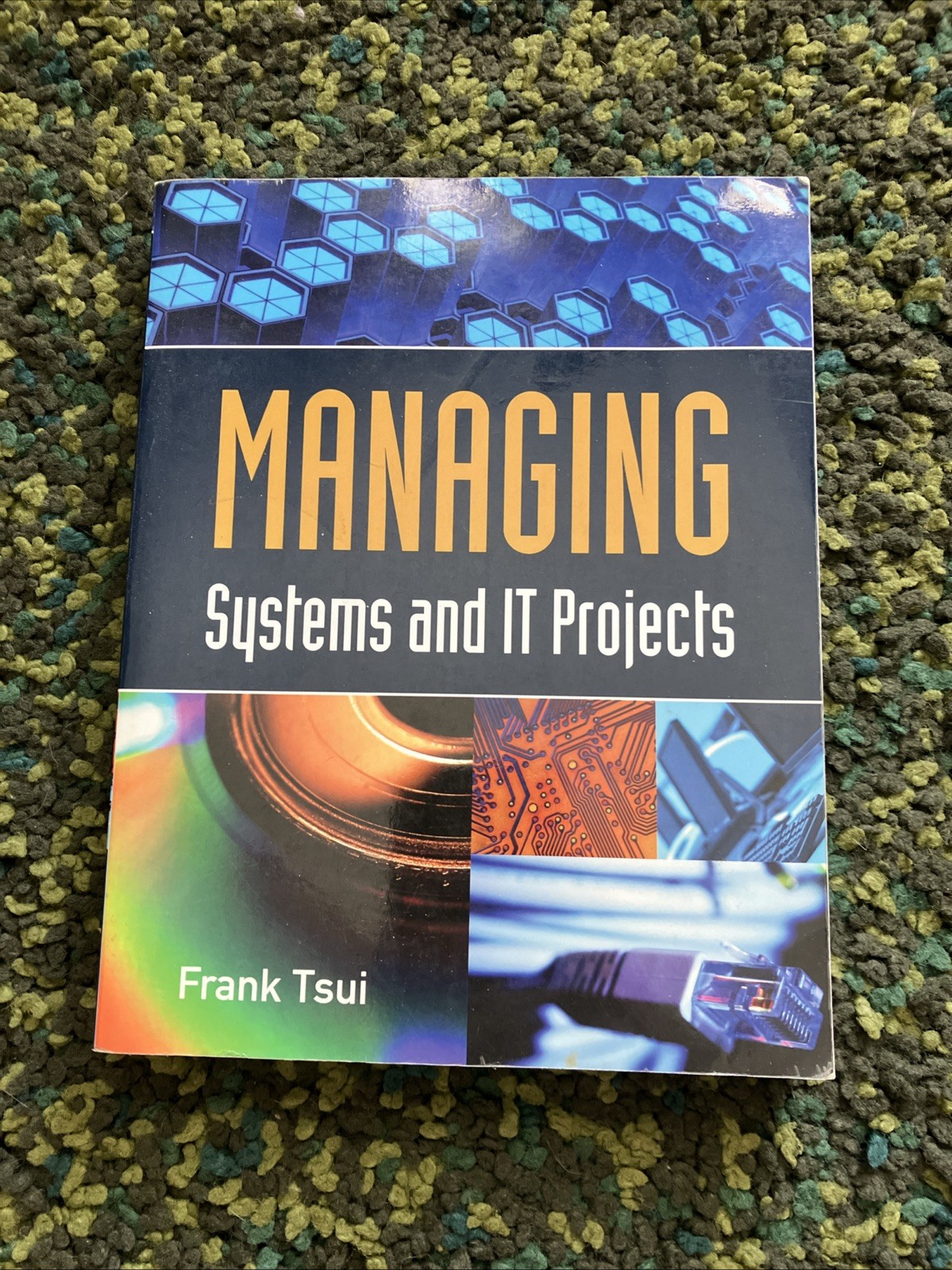 Managing Systems and IT Projects by Frank Tsui (2010, Trade Paperback)