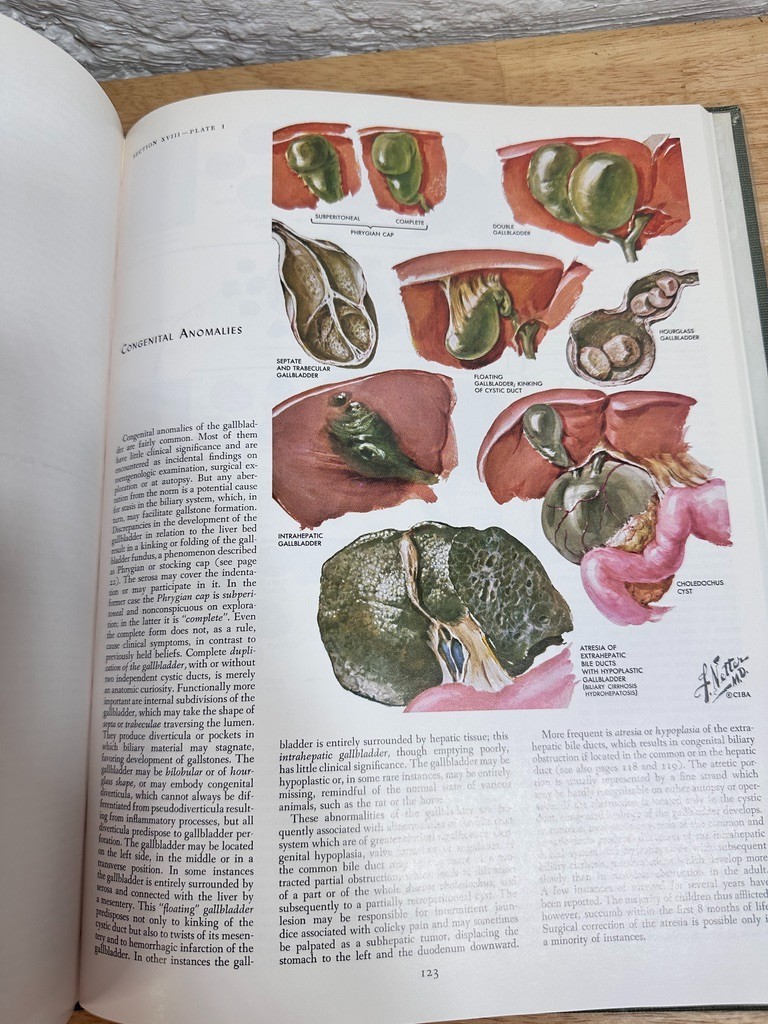 The CIBA Collection Of Medical Illustrations Volume 3 Digestive System 1964