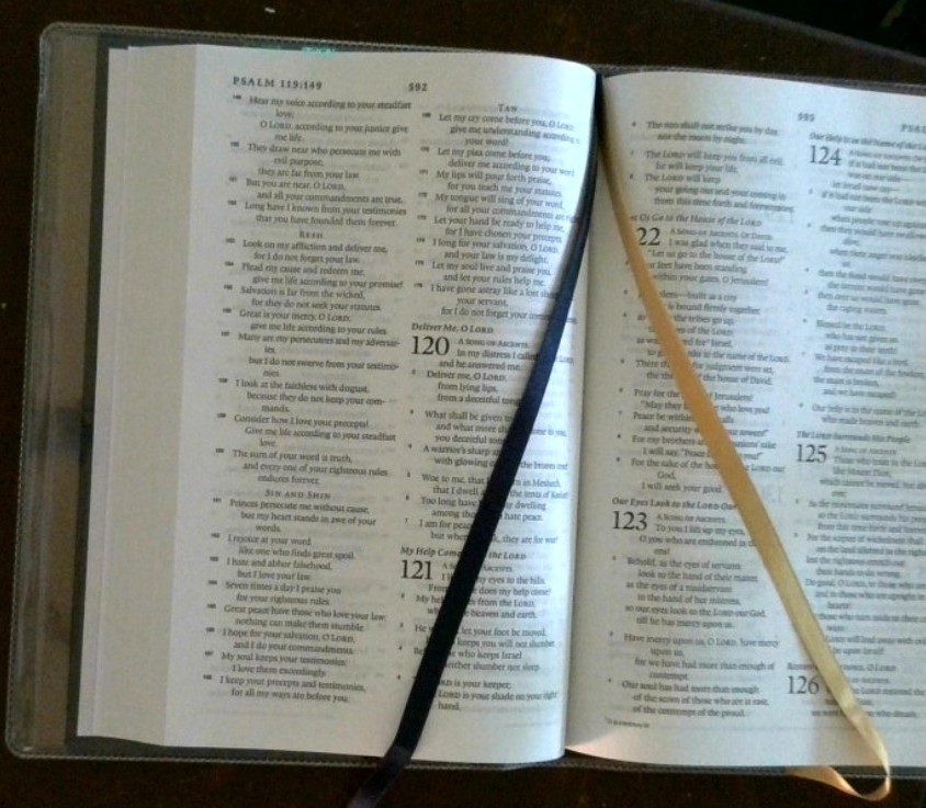 Catholic Bible – ESV Catholic Edition – Blue Hardcover LIKE NEW! SHIPS FREE!