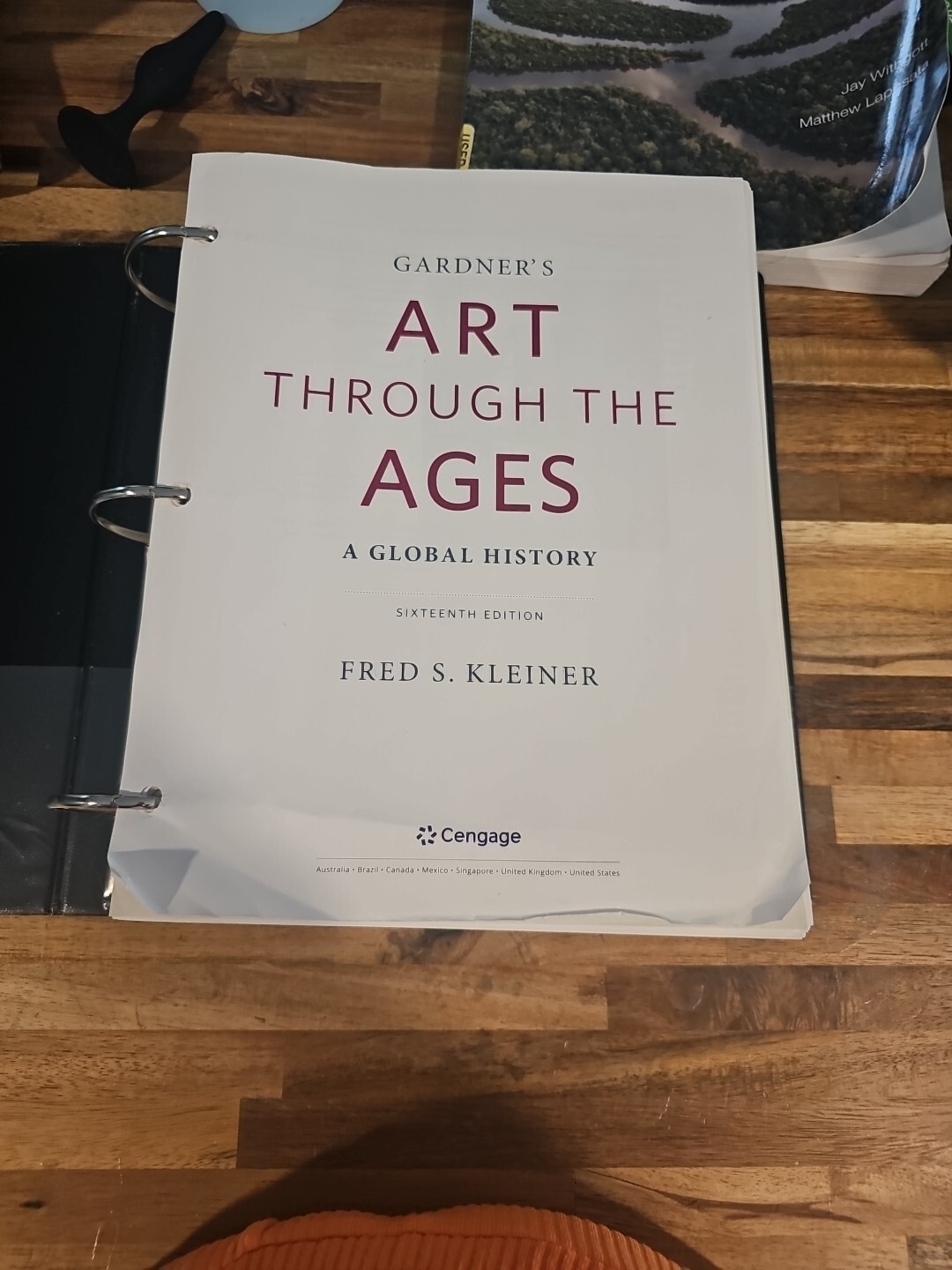 Gardner’s Art Through the Ages: A Global History 16th Edition