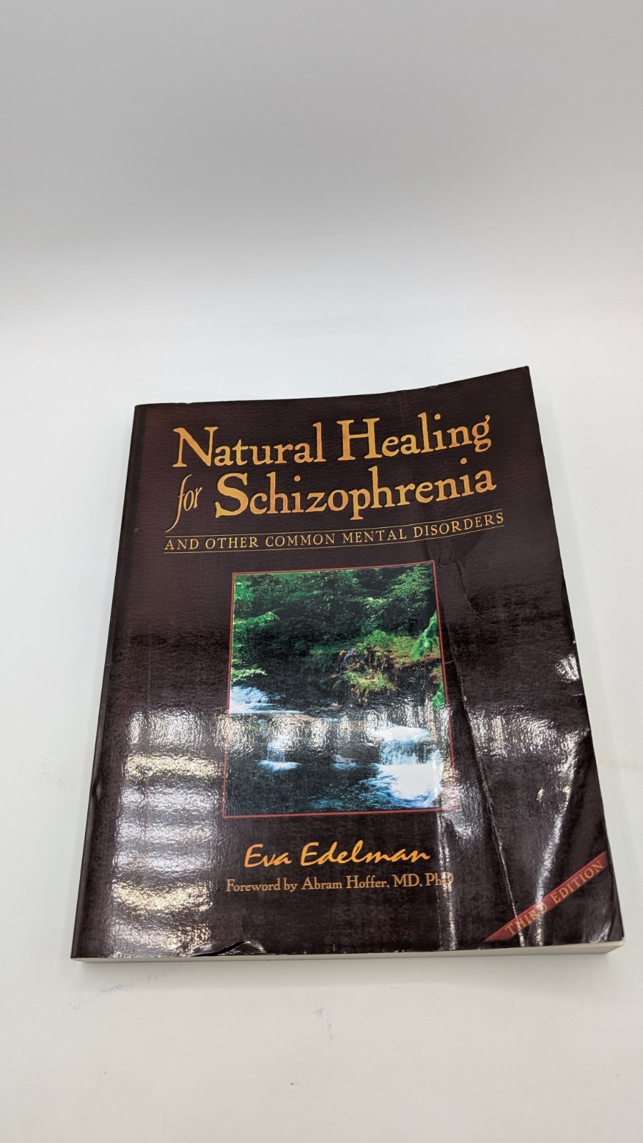 Natural Healing for Schizophrenia and Other Common Mental Disorders 3rd ed